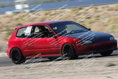 media/Oct-24-2025-Doghouse Garage (Fri) [[783d2ff07a]]/1-Advanced/Session 2 Turn 5 Tree of Life/